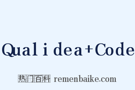 Qualidea Code是什么意思的图片